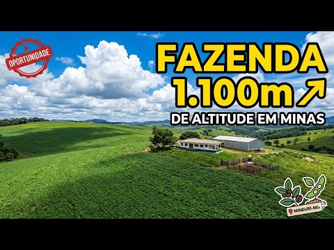 Fazenda Dupla Aptidão à Venda em Minduri - MG | 153 Hectares (900m a 1100m Altitude)