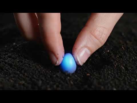 Industrije budućnosti | Revolucije koje će oblikovati narednih 20 godina | Alec Ross