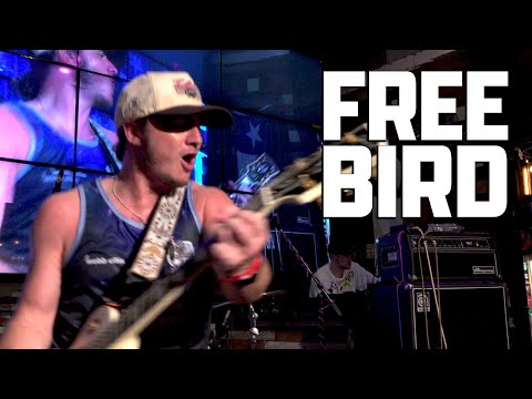 Pup Punk - Free Bird (Lynyrd Skynyrd Cover)