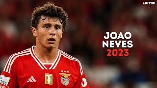 João Neves 2023 - Amazing Skills, Goals & Assists | HD