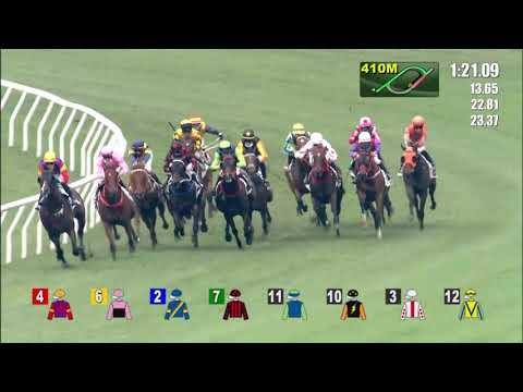 2/5/2021 (640) Looking Great - J Moreira