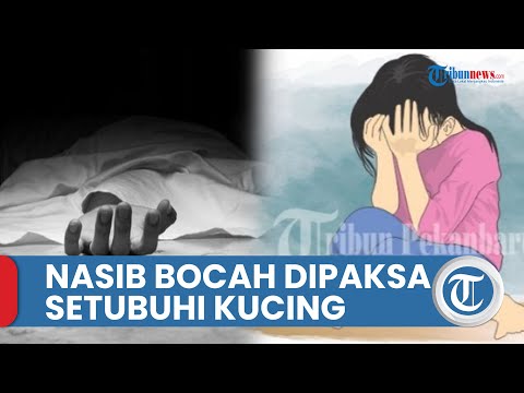 tribunnews