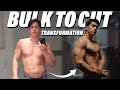Bulk To Cut Natural Transformation | My Experience With Training Every Day For 5 Years