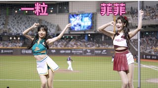 一粒 菲菲 明星賽球員應援 #cheerleader #啦啦隊 #台湾チア #チアリーダー #wingstars #rakutengirls