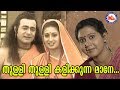 ശ്രീരാമ ലക്ഷ്മണനും|SreeRama Lakshmananum|MukkuttipooAlbum|Sreerama Song Malayalam |Hin
