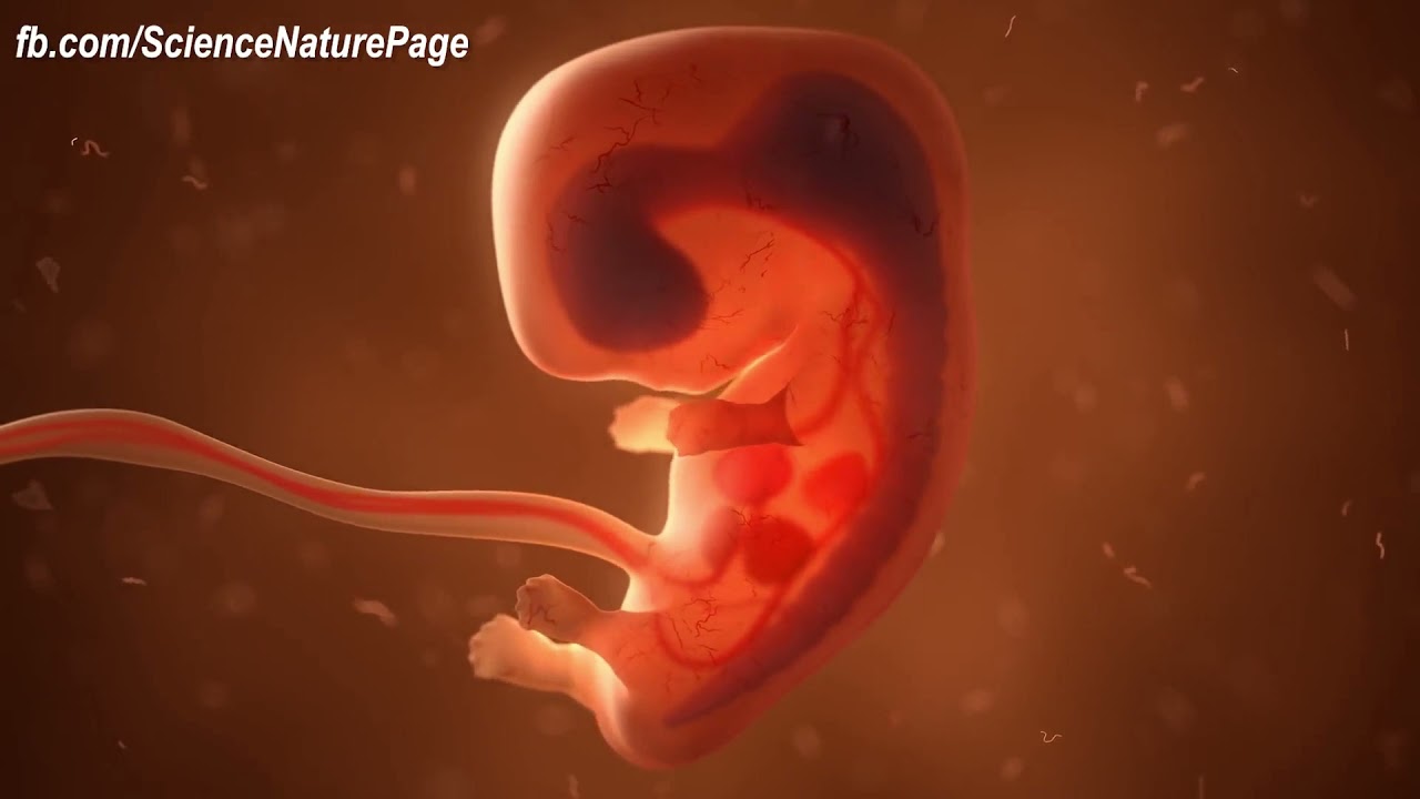 Ana Eugenia Reséndiz Rossetti-5