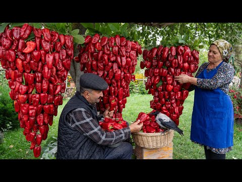 , title : 'Farm to Table: Crafting Homemade Bell Pepper Paste from Garden Fresh Peppers'