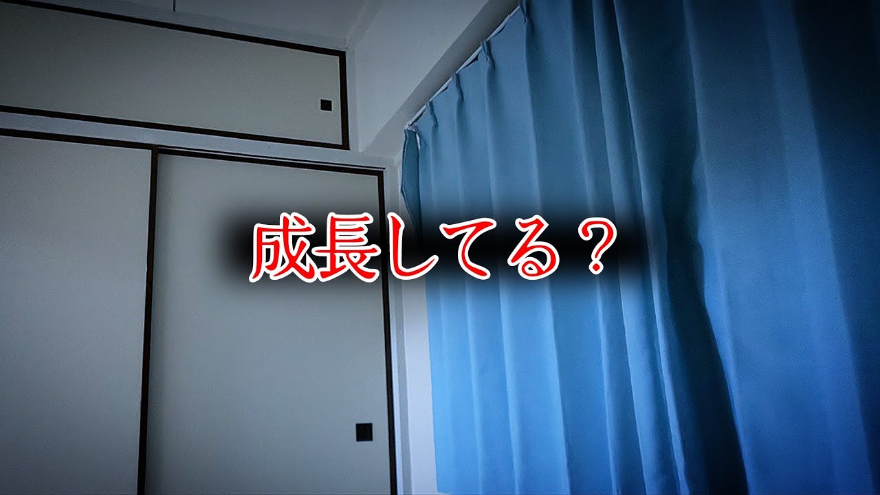【座敷童子ンち】強くなってる気がする…【まるで世にも奇妙な物語】ユーチューバー、幽霊、パワースポット、オカルト、ホラー、怪談、物語、スピリチュアル、座敷わらし、パワースポット