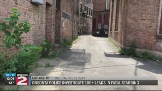 Suspect still sought in Oneonta stabbing