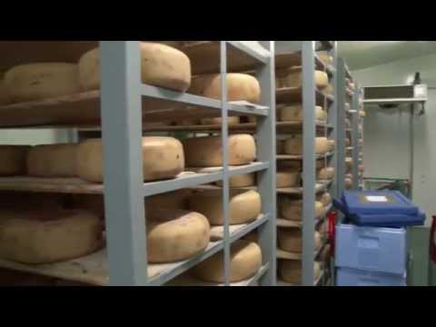 Sommertour von MdL Christina Schade: Bauernkäserei Wolters