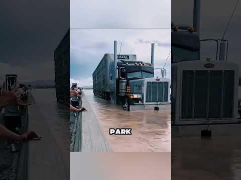 WHY SLEEP IS BANNED HERE 🤬😳🚛