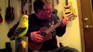 UU S 54 ~ Birds In Perspex