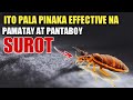 ITO PALA ANG PINAKA EPEKTIBONG PAMATAY AT PANTABOY NG SUROT