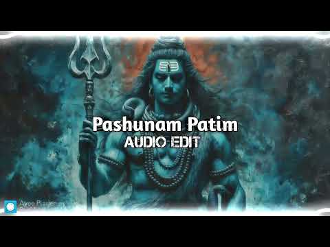 Mahadev Ringtone 🔱 Pashunam Patim (LoFi VedsarS) | Trending Audio Edit 🎶