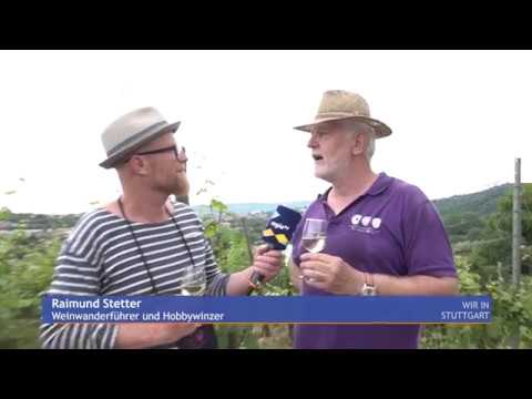 Weinwanderung zum Cannstatter Zuckerle, Wasserball und neue Bar | Wir in Stuttgart