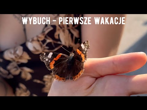 WYBUCH - PIERWSZE WAKACJE ( OFFICIAL VIDEO )