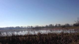Thanksgiving Day Video | Feeling Grateful At The Bird Reserve