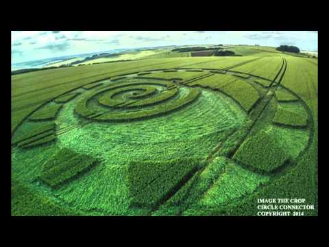 2014 crop circles:  Wiltshire, UK 8 July 2014