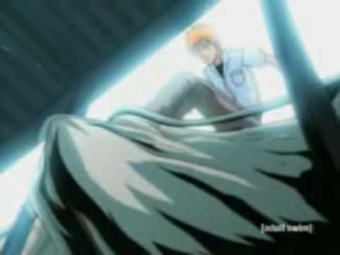bleach abridged episode 4 - two ichigo's