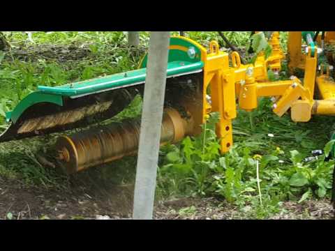 Decespugliatrice per vigneto Bruschcutter for vineyards 3