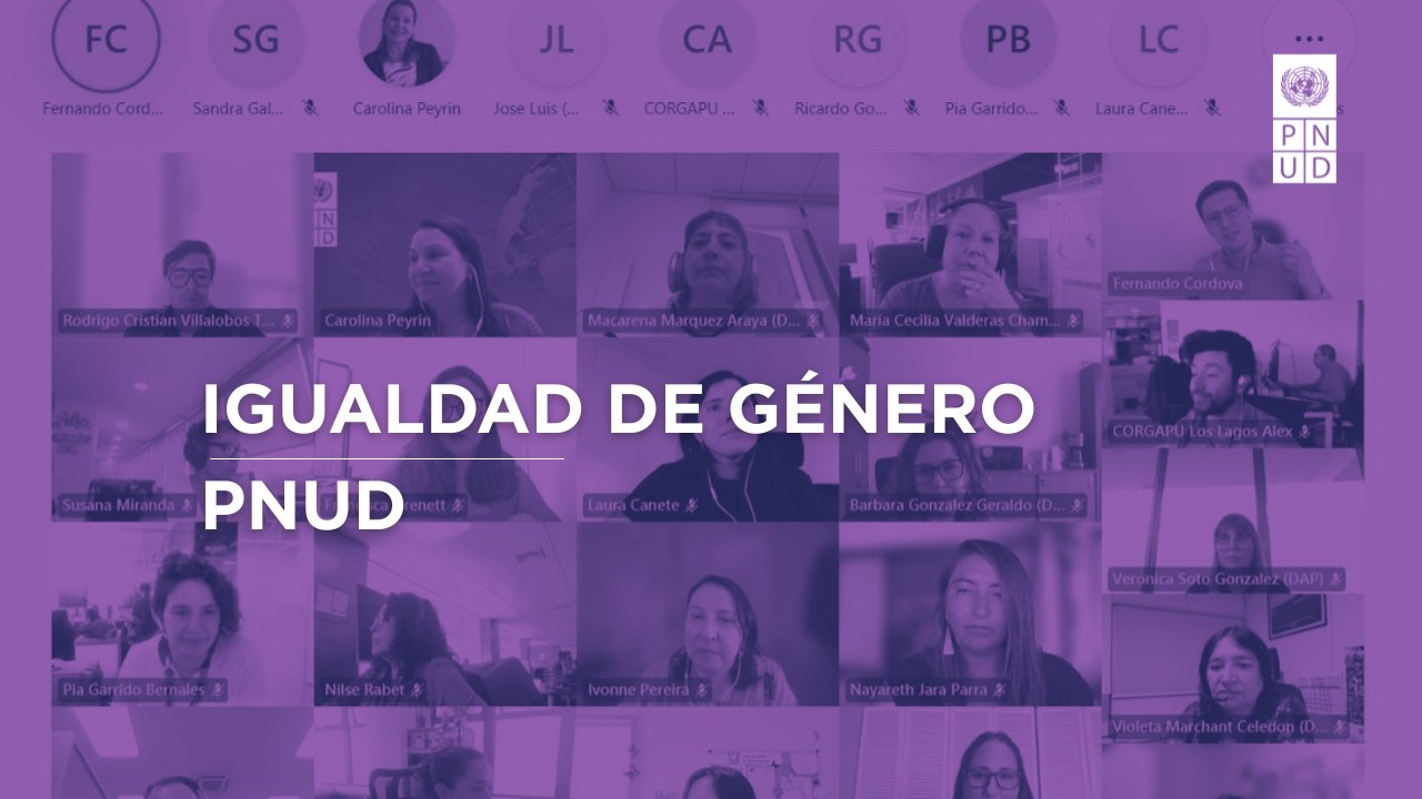 Capacitación Uso de descriptores de género en la plataforma ChileIndica conceptos y aplicación.