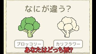 【アプリ実況】アレとコレの違い！が分かる男になる！Q11～Q20