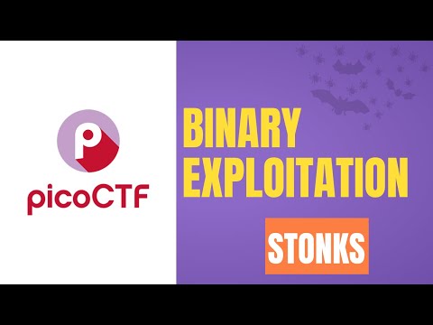 Format String Vulnerabilities | Binary Exploitation | PicoCTF Stonks