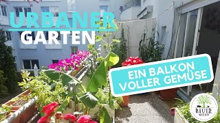 Urbaner Garten auf dem Balkon - Gemüse in der Stadt züchten