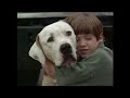 Opening To The Apple Dumpling Gang Rides Again 2003 DVD