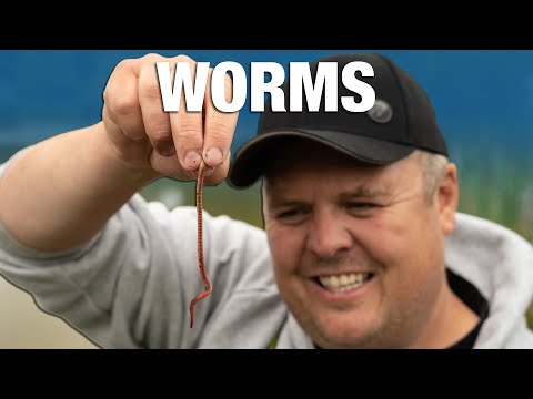 Worm Rig | Deep Water | No Nonsense Guide | Jamie Hughes