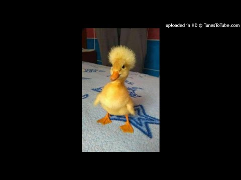 (FREE) *PUNK* NASCAR ALOE x AFOURTEEN TYPE BEAT - "RETARD" PROD. HEXEL