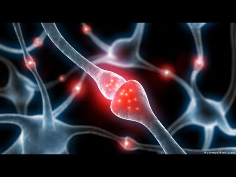 Erklärvideo: Wie kommunizieren Zellen miteinander?