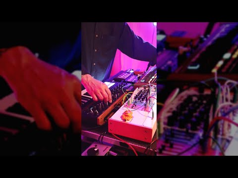 Powerful Analog Synth Tones with Minibrute 2s & Korg Monologue