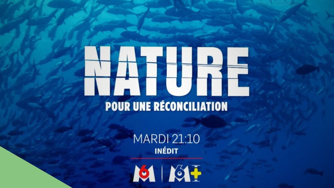 Miniature de la vidéo Nature, pour une réconciliation – bande-annonce du film Nature : pour une réconciliation
