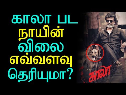 Do you know the price of the Kaala movie dog? | காலா பட நாயின் விலை எவ்வளவு தெரியுமா ?