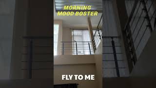 Download lagu FLY TO ME COCKATIEL || PARKIT AUSTRALIA RESPON NAMA PANGGILAN mp3