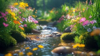 🌵 Restorative Music for the Nervous System 🌿 Deep Mind Calm & Relaxation