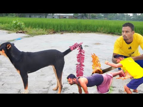 You Won't Believe The Funniest Video NR 04 Just Made!