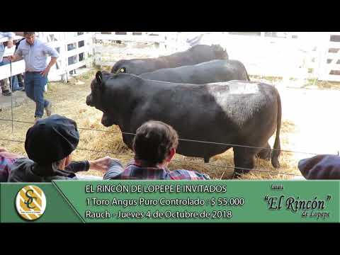 04-10-18 Venta de Toros Angus P.C. - Cabaña El Rincón e Invitados - Rauch
