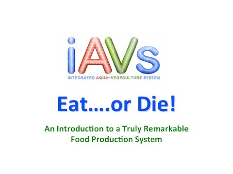 An Introduction To iAVs