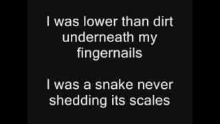 Senses Fail   Snake Bite