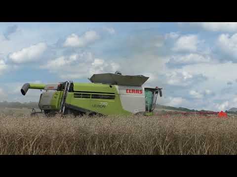 Giganten im Einsatz   Rapsernte XXXL Monster Mähdrescher Giganten im Doppel Pack Claas Lexion 770 Te