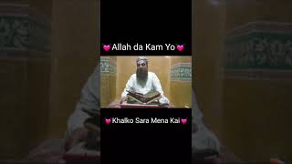 Download lagu Allah Da Kam Yo Khalko Sara Mena Kai #Shorts mp3
