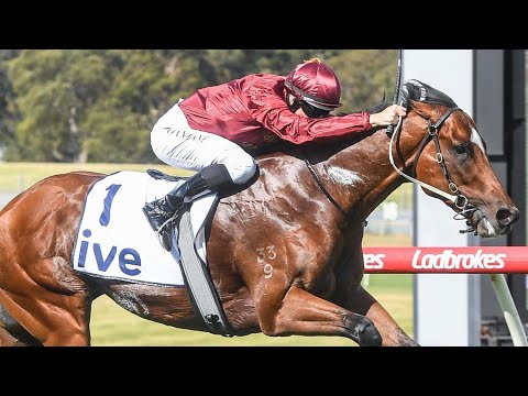 2023 C.F. Orr Stakes