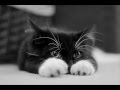 Loreena McKennitt - Cymbeline - Lyrics