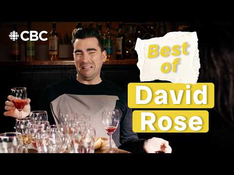 David Rose Gifs