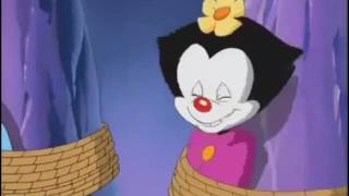 Wakko's wish dot cute scene