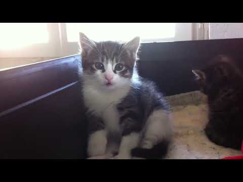 245031879 2927810594147632 5274665015093090428 n