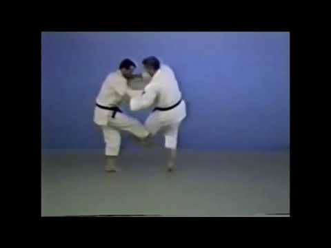 Kaeshi-waza - De-ashi-harai / Tsubame-gaeshi