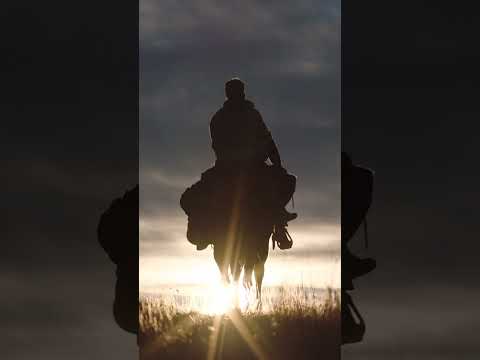 Honest Trailers | The Last of Us - Intro